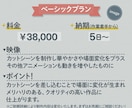 歌ってみた動画やオリジナルMVを丁寧に制作致します 音楽を映像で彩り響かせます！ サムネイル付属サービス付き！ イメージ4