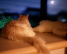 いじめに傷ついたあなたの心の傷に絆創膏を貼ります いじめ悩み電話相談のテキスト版になります。緘黙症の方へ イメージ2