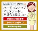 ワードプレスアップデート・バージョンアップ承ります すでにアップデート・バージョンアップ後の不具合も解決します イメージ1
