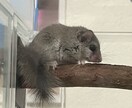 1人は嫌だって方まってます 夜の時間を1人で過ごすのが嫌だって方、お話ししませんか。 イメージ1