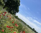 貴方のお話なんでも聞きます 誰かに話したいとき、寂しいとき、孤独感を感じたとき イメージ1