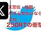 250RT以上Twitter50万人にX宣伝します Xバズらせたいならこれ！SNS宣伝・集客・拡散！ イメージ1