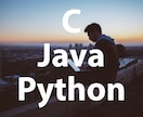 C言語/Java/Pythonの課題手伝います 現役情報系学生の確かな腕と丁寧な解説 イメージ1