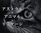 あなたの魂と共鳴する神聖なる守護動物を特定します あなたと宇宙、生命体とのつながりを目覚めさせる、魂の覚醒儀式 イメージ1