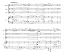 バイオリン･ビオラの楽譜制作いたします 採譜実績300曲以上！採譜のプロが丁寧に制作いたします イメージ3