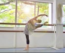 所属バレエスタジオのレッスンの疑問点を解消します 事前に疑問点を伺い、分からないステップなどを丁寧に指導します イメージ2