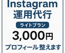 Instagramのライト運用を代行します 週2投稿と口コミ返信まで低価格で対応します イメージ1