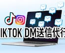 TIKTOKのDM運用代行致します ターゲットを絞って効果的なSNS運用！ イメージ5