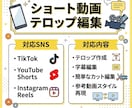 TikTok/ショート動画のテロップ編集します TikTok・Instagram・YouTubeショート対応 イメージ2