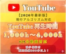 収益化可能！ YouTube再生時間増やします 1,000h～4,000h/60分動画対応/減少保証付 イメージ1