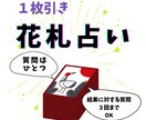花札１枚引きであなたの知りたいことを占います スピーディーにお伝えします。同件に対し質問３回までOK イメージ1