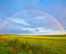 あなたのそのままをお聞きいたします 今のきもちを少しでもきいてほしい人、ただただ聞かせて下さい イメージ5