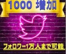世界拡散■Twitterフォロワー1000増します 【1000～10000人】ツイッターのフォロワー増加 イメージ1
