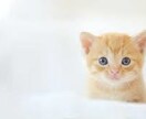 心身のお悩みお任せください。一緒に改善策を考えます 国家資格所持。心身の不調お任せください。 イメージ2