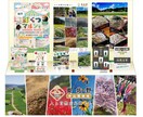インパクトのあるデザインを作成します 経験値豊かでインパクトあるかっこいいデザインをします。 イメージ10