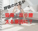 呼吸の仕方でダイエットや姿勢改善をします 呼吸がぽっちゃりお腹や猫背・反り腰を作っている？ イメージ1