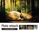 本格的な写真、画像合成を承ります 広告、LPビジュアルやプレゼン用フォトカンプ等に最適！ イメージ3
