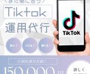 SNS運用代行をいたします 圧倒的運用実績有り！！お困りの方はコチラ！！ イメージ1