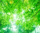 魂の契約を再び紡ぐ│運命の恋を成就へ導きます 宿命を越える2人の絆─過去から呼び覚ます約束で強い結びつきを イメージ4