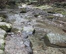 龍の気ヒーリング　エネルギー再調整承ります 多角的なエネルギーを駆使して、エネルギー浄化と再調整を！ イメージ2