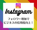 フォロワー増やします（Instagram）ます インスタのフォロワーを簡単に増加！ イメージ1