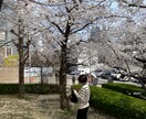 お友達になりましょう。話相手になります 女性限定。大阪のただの主婦。愚痴聞き。相談。ご遠慮なく。 イメージ1