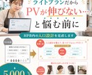 HPBライトプランでPVを増やす方法教えます ライトプランでプラチナぶち抜きコンサル イメージ2