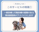 子犬期のしつけを4ヵ月齢まで継続サポートします 行動専門獣医師によるオーダーメイドのしつけ相談室です。 イメージ7