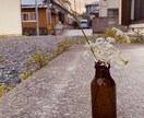 なんでも聞きます 孤独寂しい浮気不倫恋愛相談　等 イメージ1
