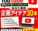 あなた専用のYouTube企画を30本考えます 「動画のネタが思いつかない」を30本の企画アイデア提供します イメージ1