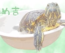 ペットのお写真を素敵なイラスト風に加工します あなたとペット(犬、猫など)の写真も可♪ハガキなどにどうぞ イメージ3