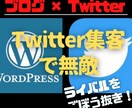 Twitter集客で無敵アフィリエイト教えます 才能、スキル、経験一切不要！初心者のための完全攻略マニュアル イメージ1