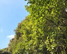 お疲れ様です☆一緒に萌え萌えキュンキュンします 一緒にキュンについて語りましょう☆なんでも待ってます☆ イメージ2