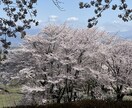 イライラ・ムカムカ・心のモヤモヤお聞きします 気の済むまで吐き出してね。側にいるから イメージ2