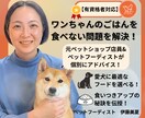 有資格者|愛犬のごはん食べない問題を解決します 元ペットショップ店員×ペットフーディストが個別アドバイス！ イメージ1