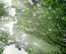 悩み過ぎて辛い・・・ 全て受けとめます 誰かと話したい、愚痴を聞いて欲しい。何でもＯＫです。 イメージ3