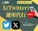 １週間お試し！X(Twitter)運用します 現役プロマーケターが目的に合わせた運用をサポートします！ イメージ1