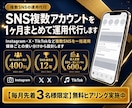 SNS複数アカウントを1ヶ月まとめて運用代行します 複数のSNSを1つの窓口で。総フォロワー400万人のチーム イメージ1