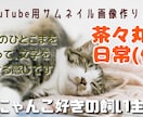 YouTubeにアップするときのサムネを作成します 動画は撮れるがサムネの作り方が？な新人YouTuber向け イメージ1