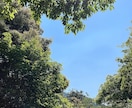 心の悩み何でもお聞きます とことんお話しお聞きします❤️ イメージ2