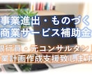 新事業進出・ものづくり商業サービス補助金支援します ～元銀行員・元コンサルが事業計画の作成支援を致します～ イメージ1