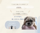 愛犬・愛猫を看取った経験者がシニア期の不安聴きます シニア期・介護の不安･･･。ひとりで抱え込まずお話ください イメージ3
