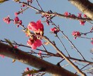 話しづらい悩み、愚痴や雑談、何でもききます 仕事の悩みや人間関係、モヤモヤなど、話してすっきりしませんか イメージ4
