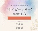 共感覚で見る『あなたの名前の色』をお伝えします 世界にひとつだけの“あなたのお名前の色”知りたい方に。 イメージ5