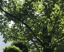 お話聞きます 話したい！聞いて欲しい事がある方へ イメージ2