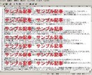 ★SEO対策専用記事「300～400文字程」★アクセスUp用記事★１記事セット★v1.11 イメージ2