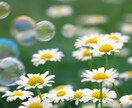 いつもがんばっているあなたの疲れをねぎらいます 現役の保健室の先生があなたを全力で励まします！癒します！ イメージ3