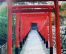 占いセラピーであなたの心癒します 本当の自分が知りたい？相手の本質が知りたい？ イメージ1
