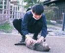 酔っ払ってるテキトーなやつが話を聞きます 多分有益なことは言えません。テキトーに話してください。 イメージ1