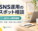 X・Threadsの悩みを60分で整理します 発信軸・投稿・改善を相談できるスポット支援 イメージ1